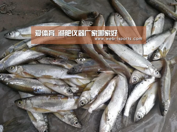 爱体育_减肥仪器厂家哪家好(图3) 爱体育App